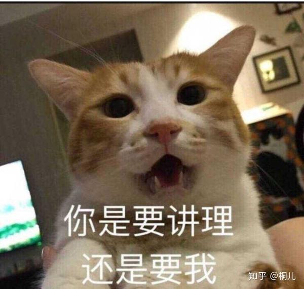我一般跟男朋友吵架自己给自己台阶下都是用的表情包.