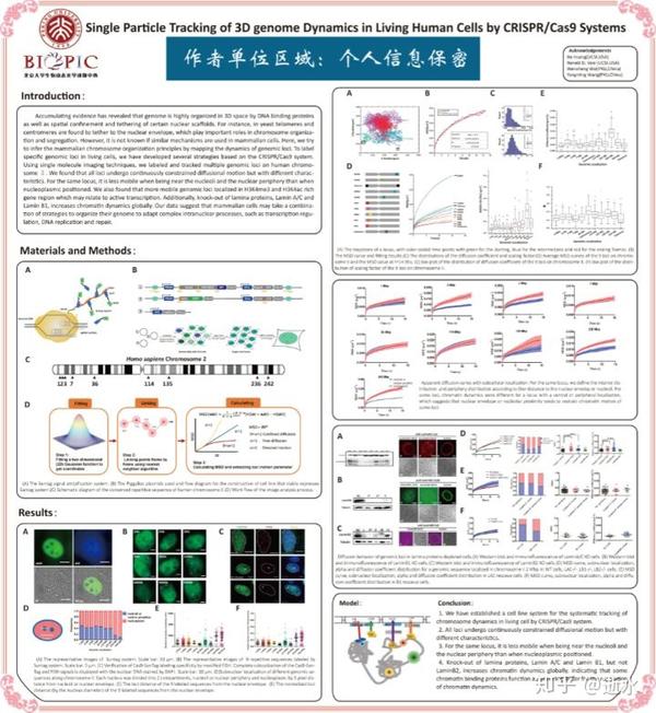 学术论文poster制作经验总结