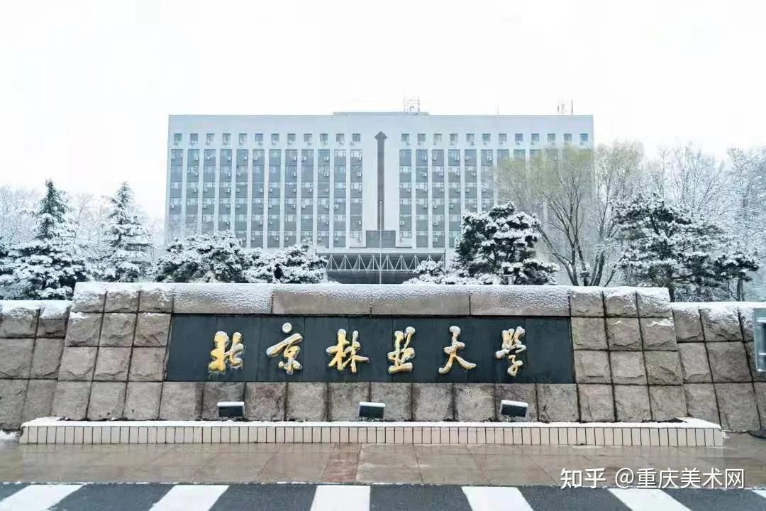 热门211 北京林业大学2021年美术类专业录取分数线 知乎