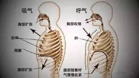 练习声音的共鸣 胸腔共鸣