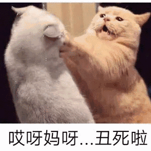半佛仙人 半佛老师b站表情包 8月整理