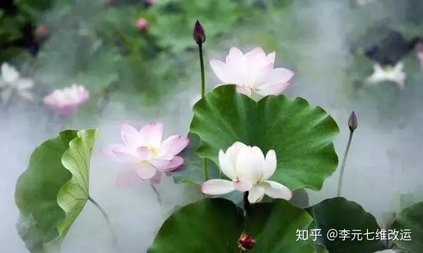 因果|| 别让你的面子损了你的福报