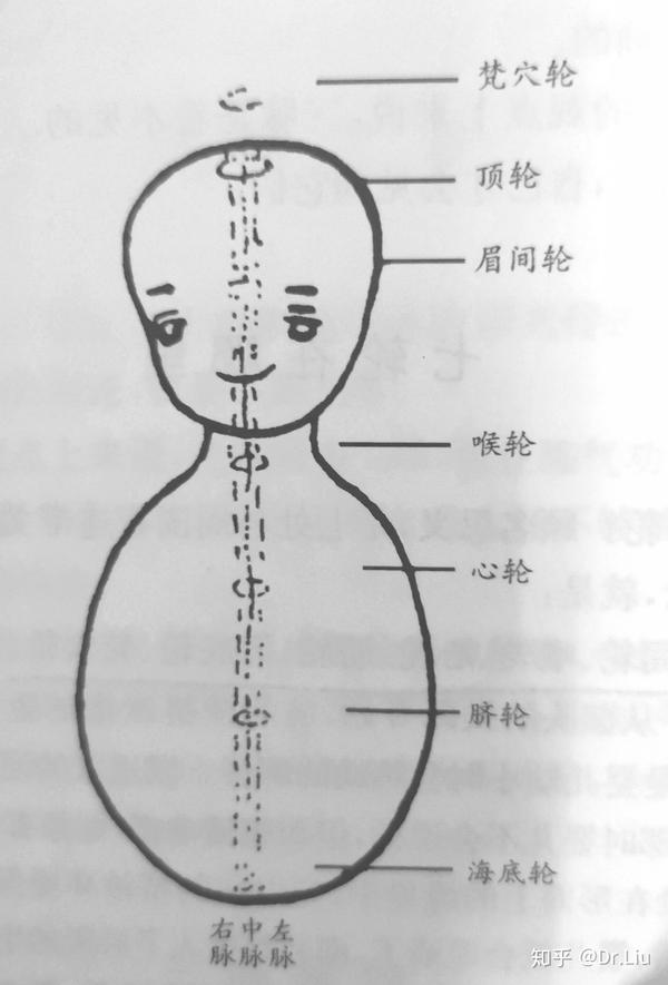 佛教(密宗)认为,人有三脉七轮.