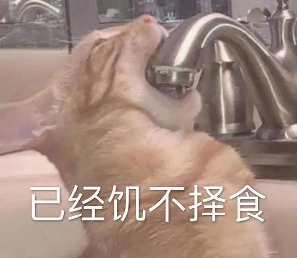 表情生活不易猪猪叹气