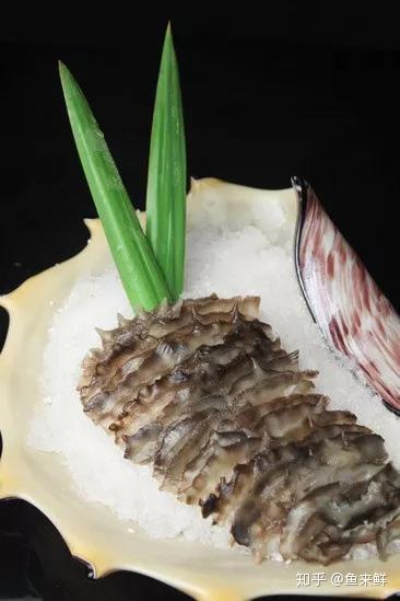 参度滋养海参食用指南