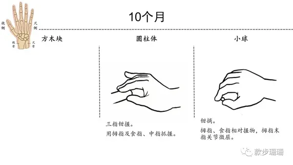 物体的形状大小会影响婴幼儿的抓握能力,物体越大,涉及的手指越多.