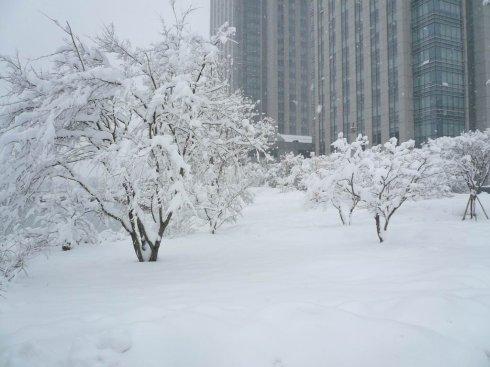 内蒙古大雪破纪录小区车辆全部被埋