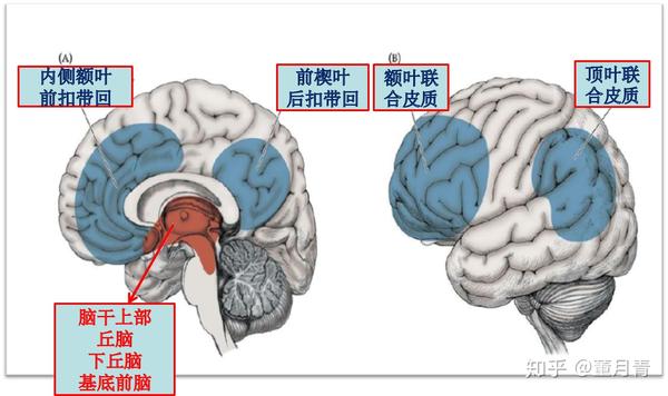 弥漫性轴索损伤(原发性脑干伤)评估和治疗