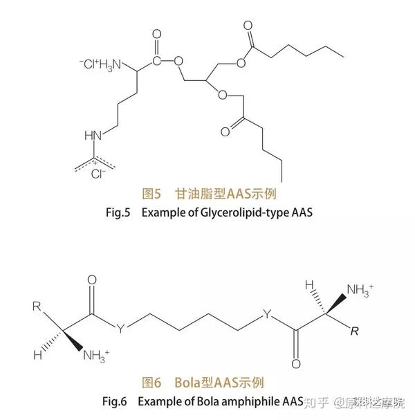 研究氨基酸表面活性剂的合成性质及工业应用上