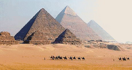 462_245gif 动态图 动图