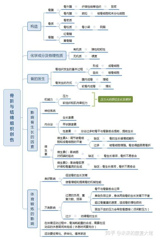 肌肉骨骼康复思维导图往期汇总