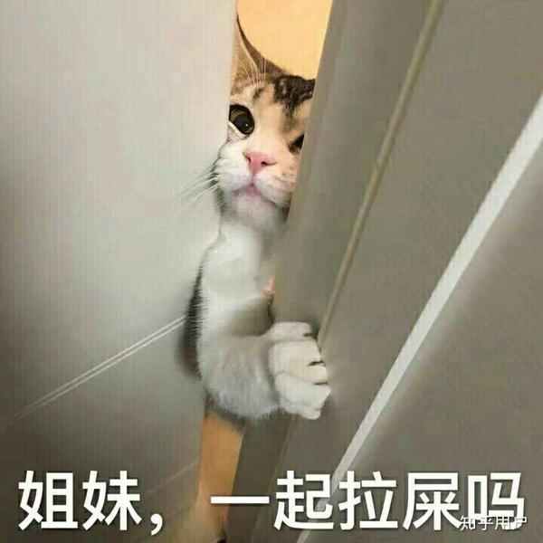 哪些表情包让你看一次笑一次?