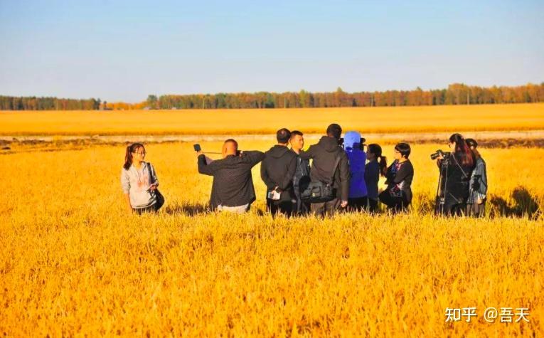 我国粮食恐有危机黑土地正在变黄东北黑土地50年内或将消失