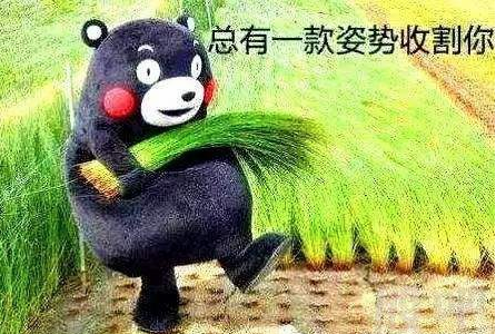 怎么看待咪蒙矩阵旗下文章一个出身寒门的状元之死反映了哪些问题