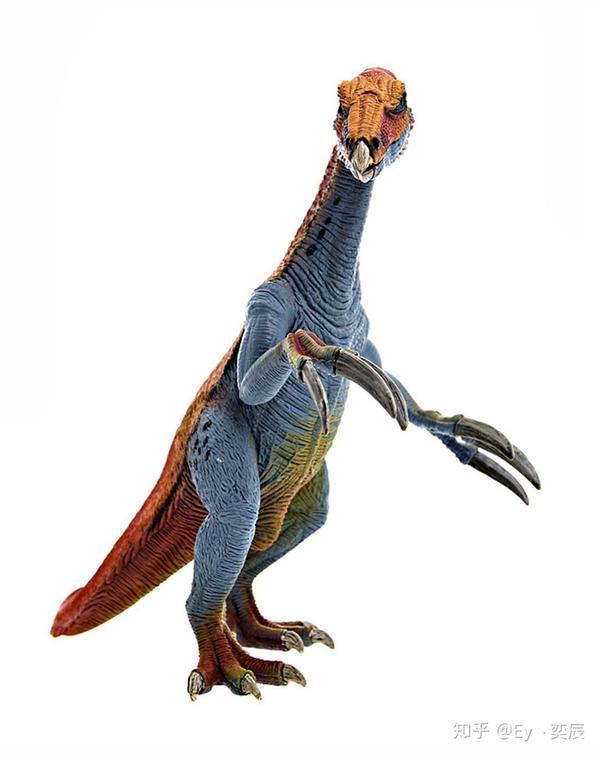 这个,叫镰刀龙,看也就知道了,这个恐龙有两个巨大的前爪.