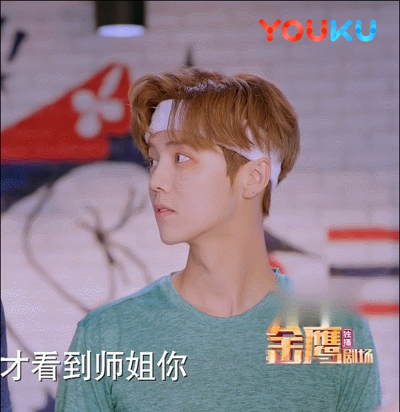 如何看待鹿晗主演的电视剧《甜蜜暴击》(原名爱的回旋