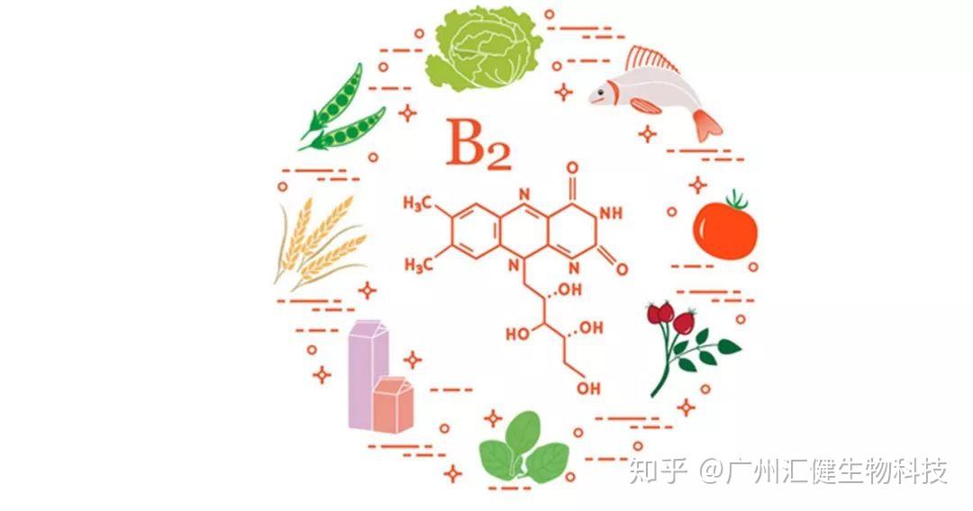 缺乏维生素b2会有哪些症状要从哪些食物中摄取