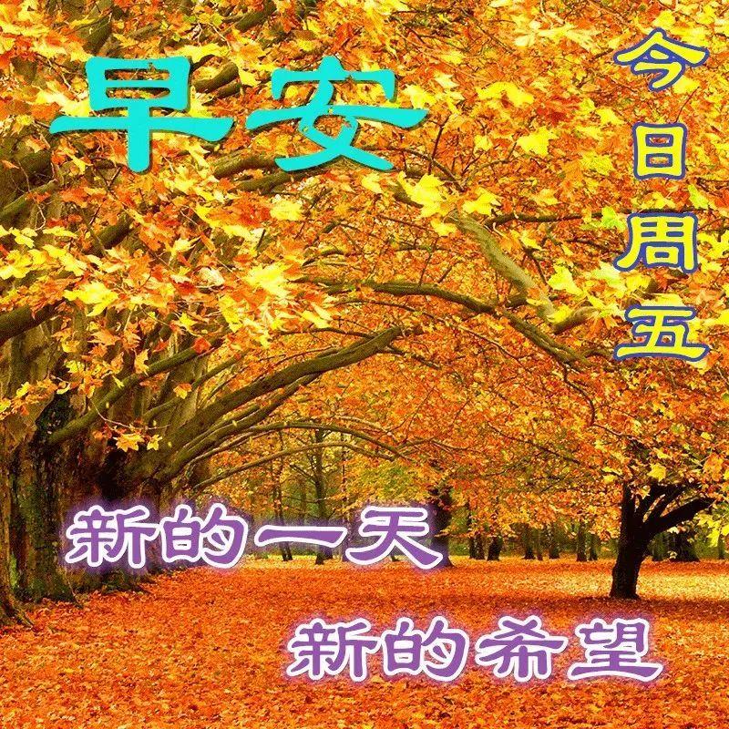 8月18日精美早上好动图早安表情早安问候祝福大家早上好问候语温馨