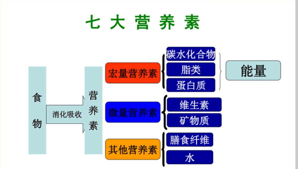 碳水化合物是一组重要的营养元素,自然界中最丰富的能量来源