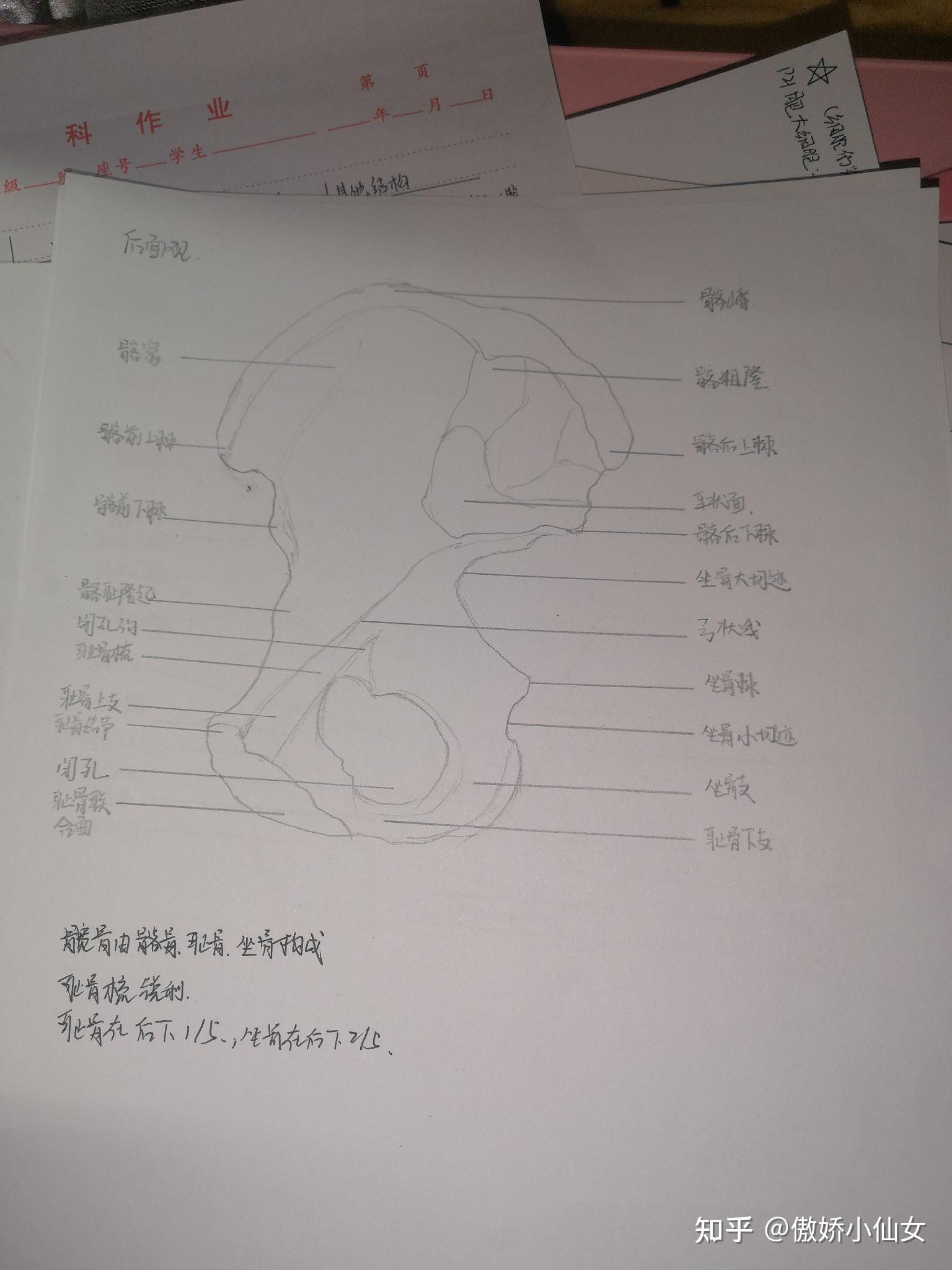 系解手绘图 - 知乎