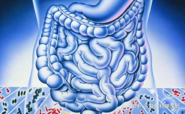 结直肠炎 zhuanlan.zhihu.com