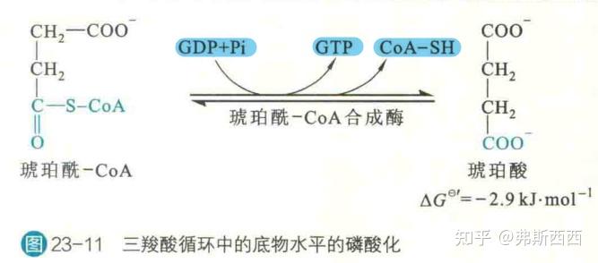 三,emp和tca的桥梁