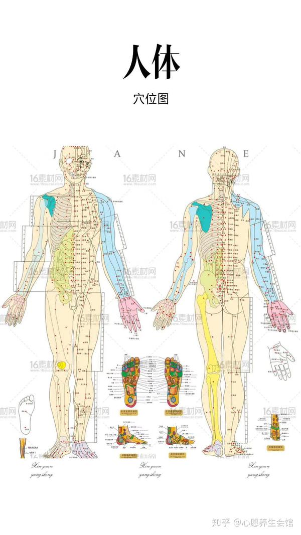 按,揉等不至于伤害人体,其余36个穴是致命穴,俗称"死穴"