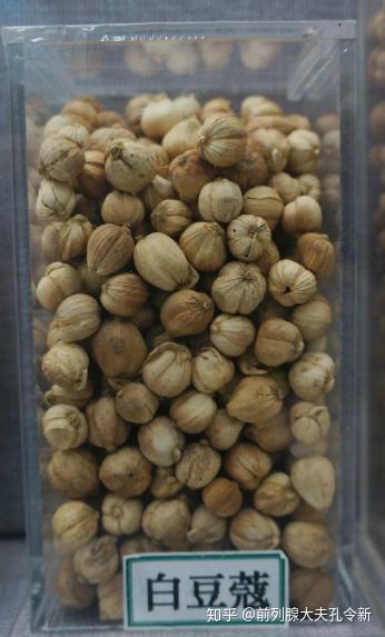 白豆蔻的功效和作用有哪些—白豆蔻用法解读
