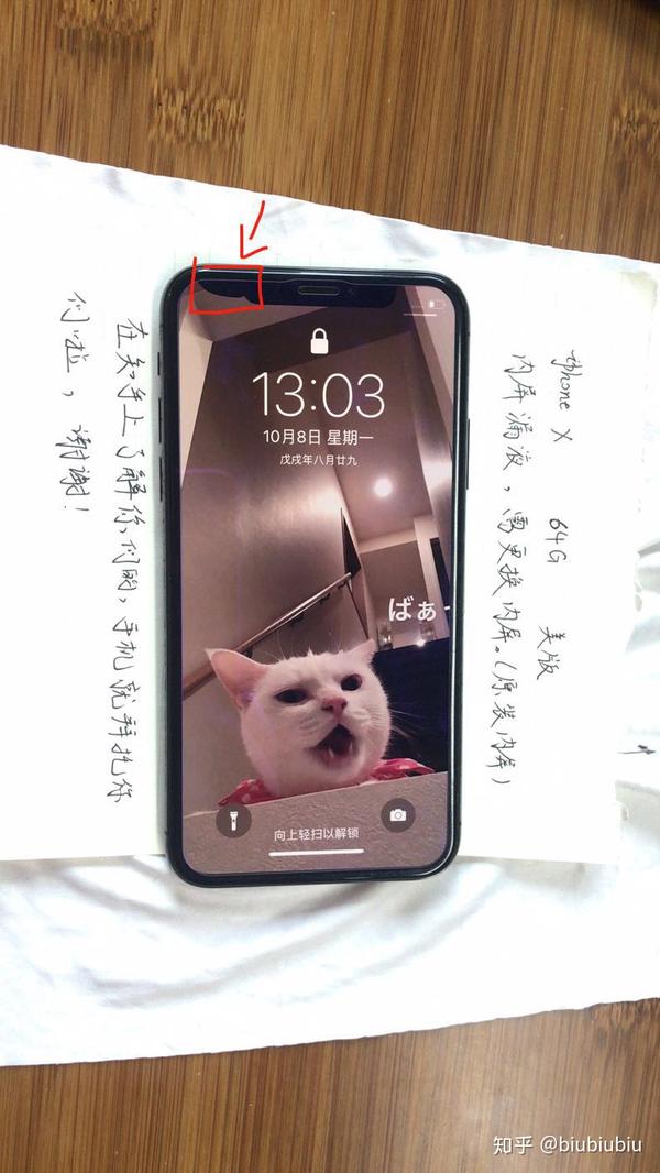 九个月的iphonex漏液了?