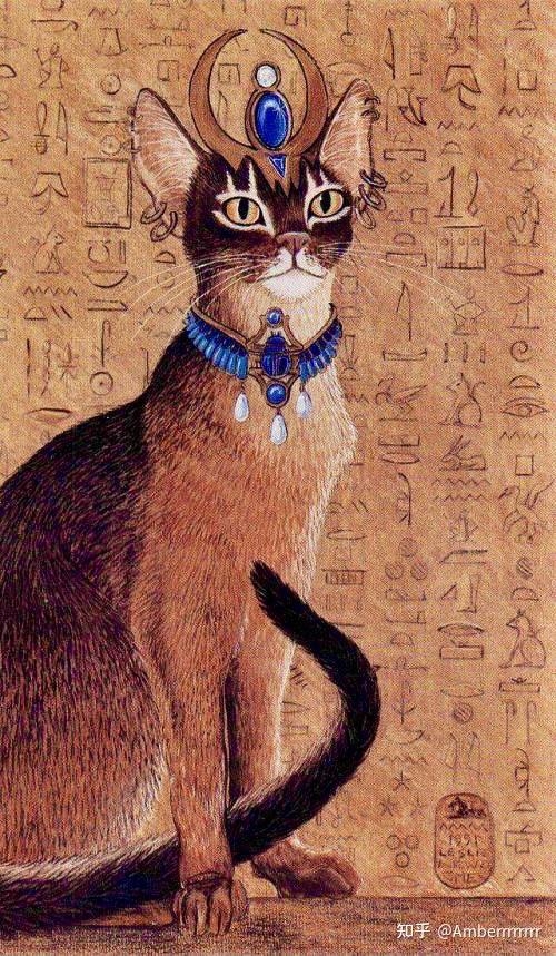 被崇拜为"神圣之物"的古埃及猫的后裔.