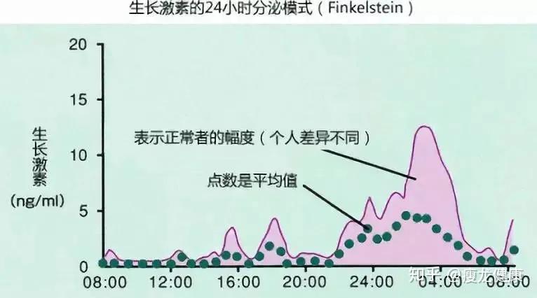 胃饥饿素刺激生长激素分泌