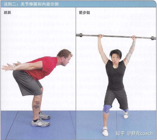 卧推,推举这类动作,通常涉及到髋关节或肩关节的弯曲,需要通过外旋来