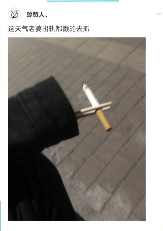 看了之后立马让人破口大笑欣喜若狂的搞笑图片2