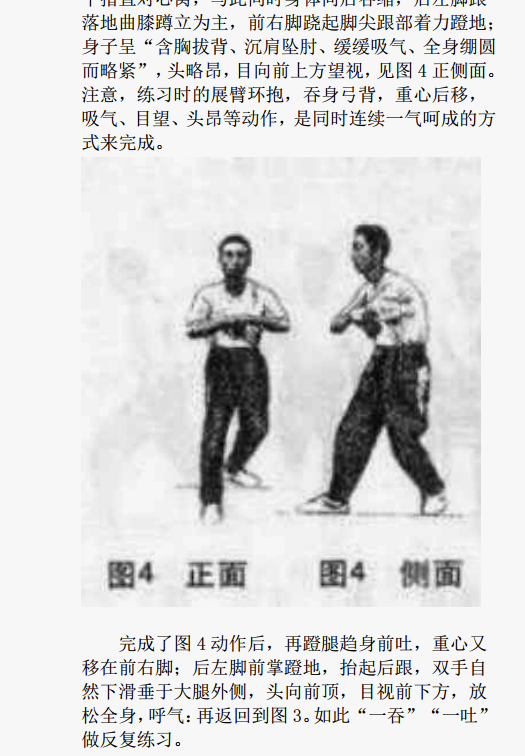 戴氏猴蹲身练的是什么是都练的是凤龙凤虎蛇吗为何老人说练猴蹲身需要