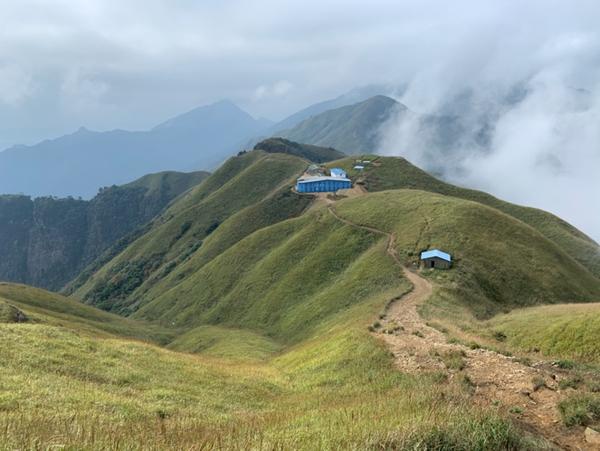 发云界到绝望坡途中可以看到的高山草甸