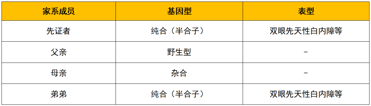 案例分享基因检测辅助诊断遗传病眼脑肾综合征