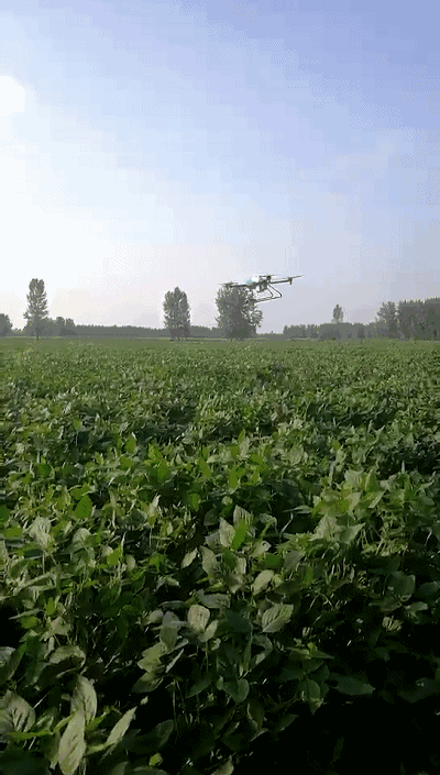 风景 植物 种植基地 桌面 400_705 竖版 竖屏 手机 gif 动态图 动图