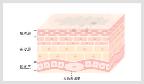 孙叔公科普|4个皮肤小知识,你一定不知道!