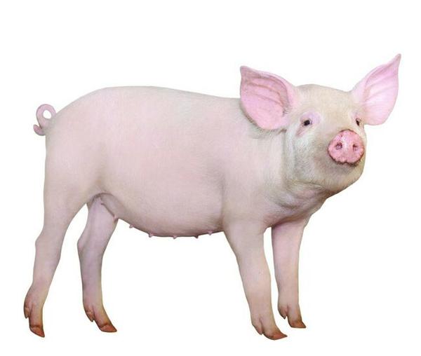  ϶Ǻ