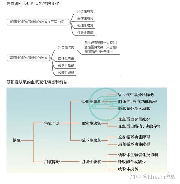 《病理生理学》期末名词解释 大题思维导图归纳