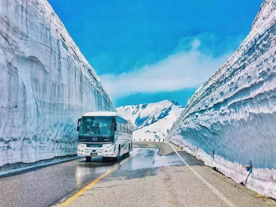 日本立山黑部的雪之大谷只有两个月期限