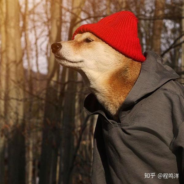有哪些好看的适合男生的微信头像