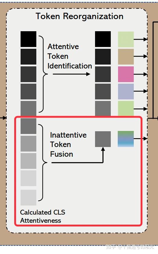 【inattentive token fusion】