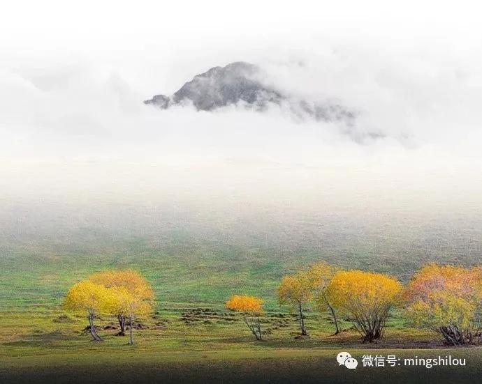 秋风近秋山浓秋水淡