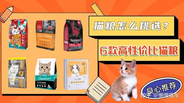 2022性价比猫粮推荐,猫粮什么牌子比较好 知乎