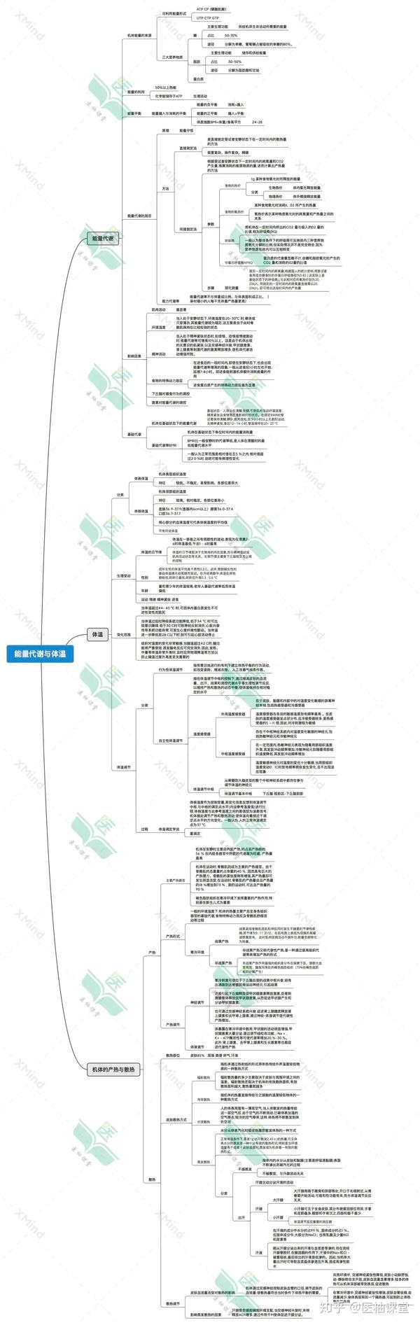 生理学思维导图-能量代谢与体温