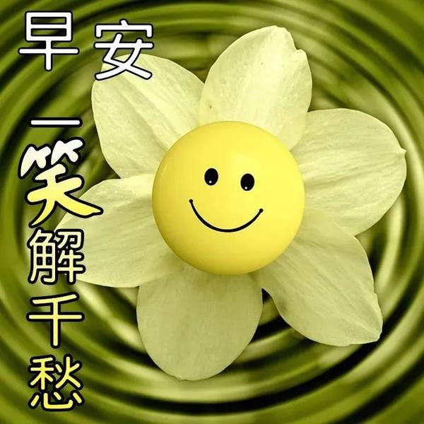 早安愉快表情包闪图周二早安问候语录短信句子祝福朋友