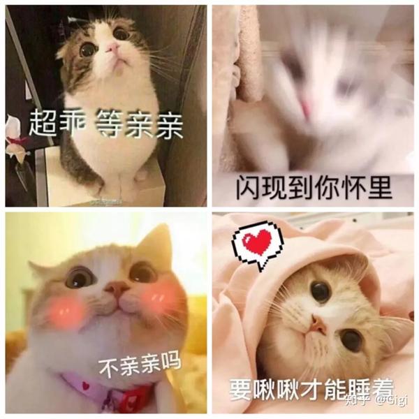女生发这种表情,男生被撩得无法自拔