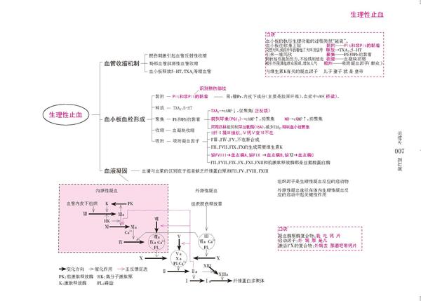 生理学思维导图-吴在望生理学思维导图版