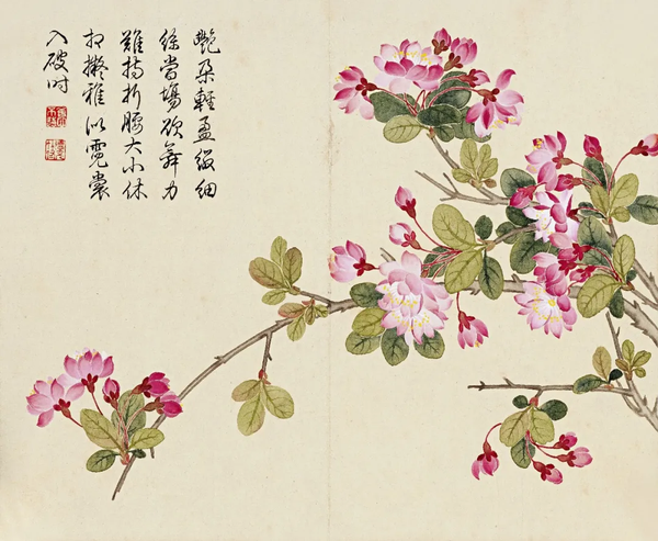 冬心如何临习清朝大才子董诰的没骨画